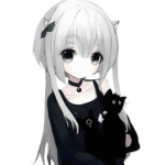 dwollsies!