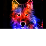 L1ttl3_SOF1 Club