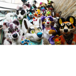 Furry Group!!!!!