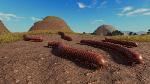 Bug Invasion [NEW]