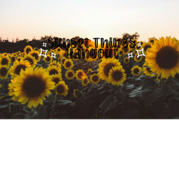 Sunset things hangout