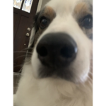tofu<3