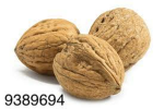 walnuts are cool