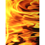 Fire party