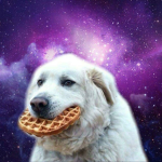 Kozackie_Pieseły