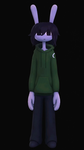 Noobi Cool tiktoker