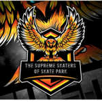 The Supreme Skaters of Skate Park