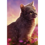 Warrior Cats Group<3