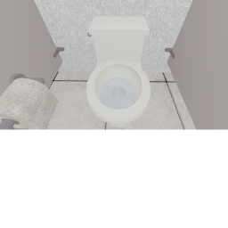 Public Toilet Simulator