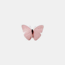 Butterfly Picnic