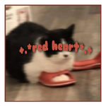 +.*red heart*.+