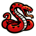 Viper Studios Group