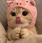 VℰℛA's Cℒαɳ