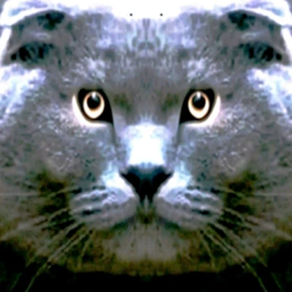 Group Icon
