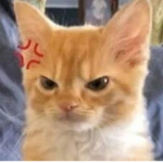 oi meu nome é gamer