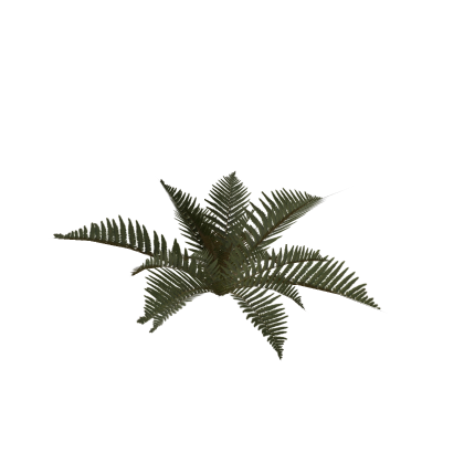 Realistic Bush