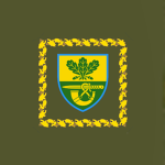 61st Motorized Infantry Brigade.