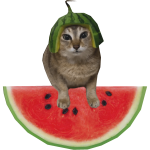 Tole Tole Pero En Una Sandia😼🐈🍉