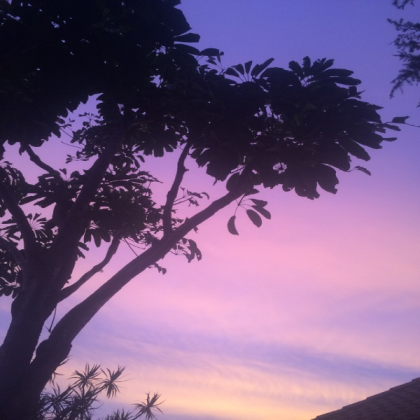 Purple Sunset Roblox decal