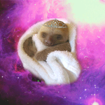 The North Sloth's