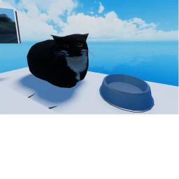 Find the Black Cat Obby🐈‍⬛ icon
