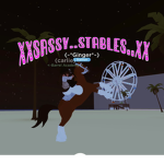 ~ stallion ridding academy ~