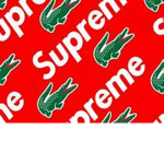 GUCCI?