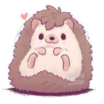 Hedgehog fan club