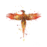 The Order of The Phoenix Rises Again