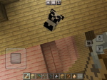 Da Kitty hang out :3