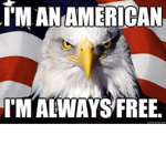 Americas Troups