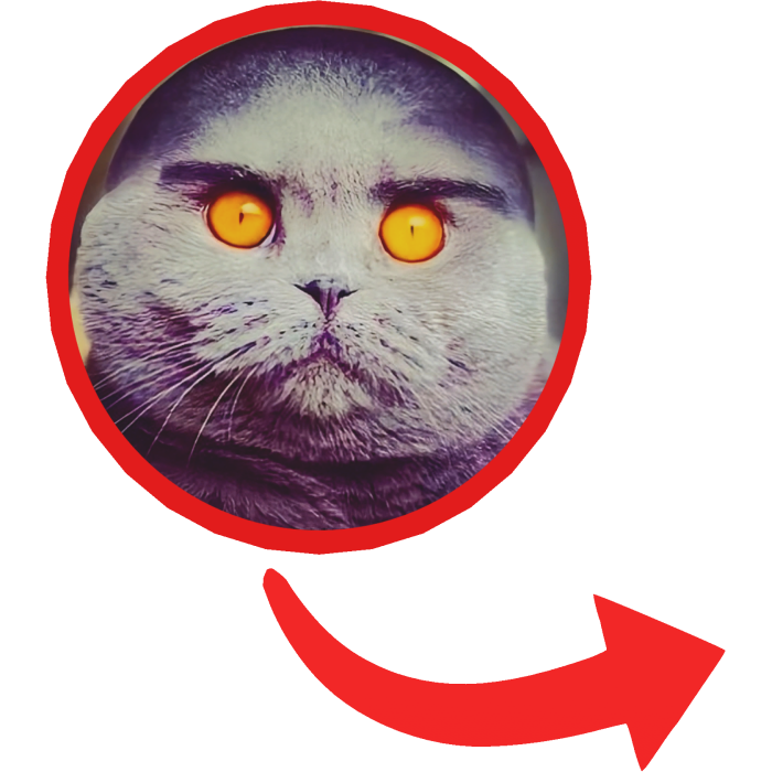 Folk Cat Red Circle