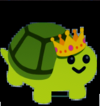 Turtle Gang Official 2026