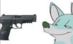The Oof Furries Gang