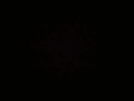 Avolis Studios