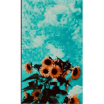 Sunflowerlife#funnnnnnnn