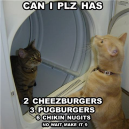 Funny Cat decal lol Roblox decal