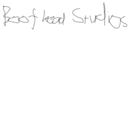 Boofhead Studios Hangout