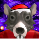 Team anis roblox