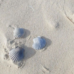 ｡ﾟ•┈୨