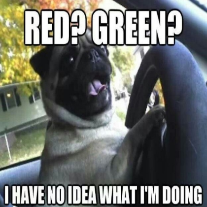 funny-pug-meme-drive Roblox decal