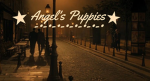 Angel's Puppies