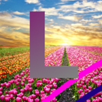 Lexi Resort