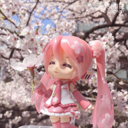 Sakura's chill place