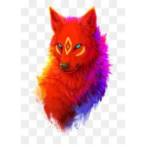 JFox Nation