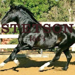 Stetson.