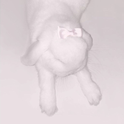 Ი𐑼