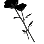 the dark plant