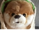 wooofwooofrocks
