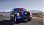 Police roleplays games